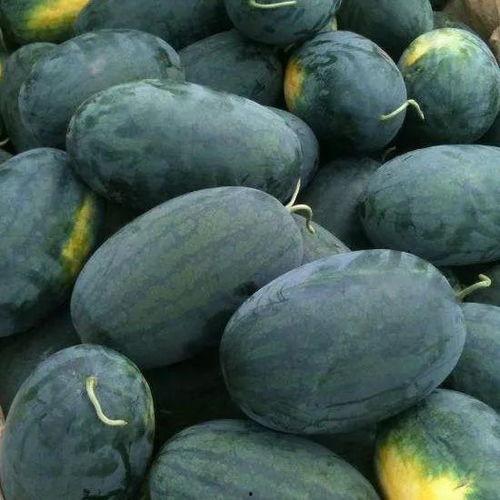 778su黑料吃瓜,一场网络吃瓜盛宴